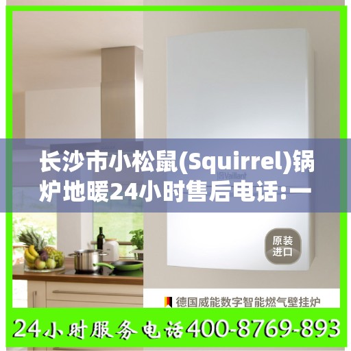 长沙市小松鼠(Squirrel)锅炉地暖24小时售后电话:一文读懂