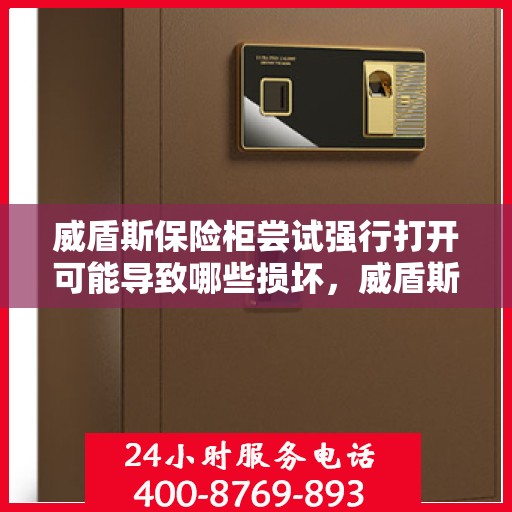 威盾斯保险柜尝试强行打开可能导致哪些损坏，威盾斯保险柜强行打开可能造成的损坏分析