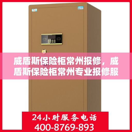 威盾斯保险柜常州报修，威盾斯保险柜常州专业报修服务