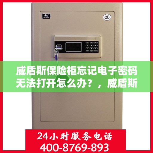 威盾斯保险柜忘记电子密码无法打开怎么办？，威盾斯保险柜密码遗忘解锁攻略，电子密码重置与开启方法