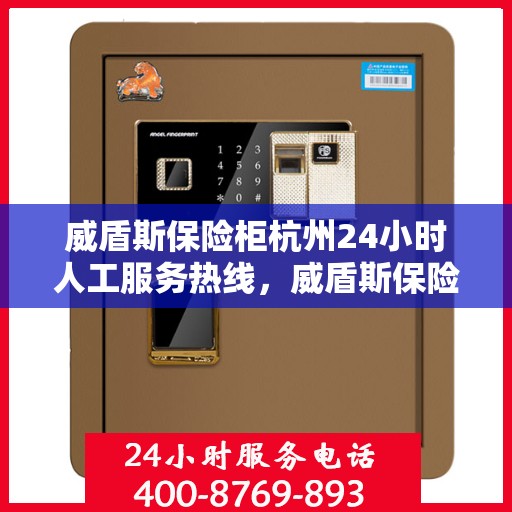 威盾斯保险柜杭州24小时人工服务热线，威盾斯保险柜杭州全天候人工服务热线解锁您的安全需求