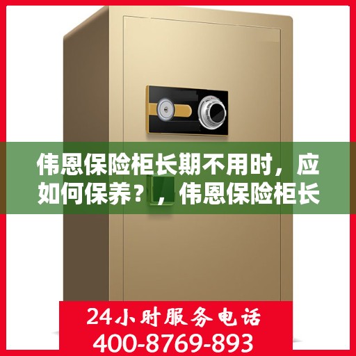 伟恩保险柜长期不用时，应如何保养？，伟恩保险柜长期闲置时的保养秘籍，维护安全无忧！