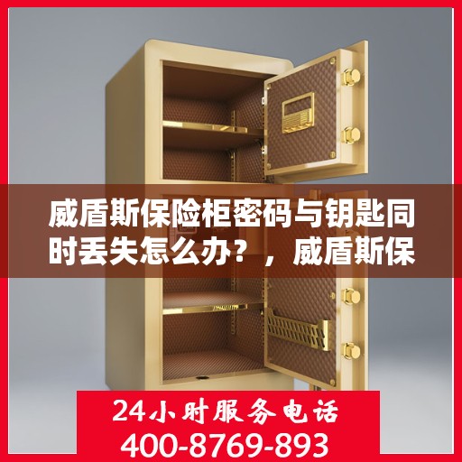 威盾斯保险柜密码与钥匙同时丢失怎么办？，威盾斯保险柜密码与钥匙遗失应急处理指南