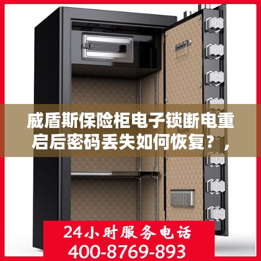 威盾斯保险柜电子锁断电重启后密码丢失如何恢复？，威盾斯保险柜电子锁密码重置指南，断电后如何找回丢失的密码？
