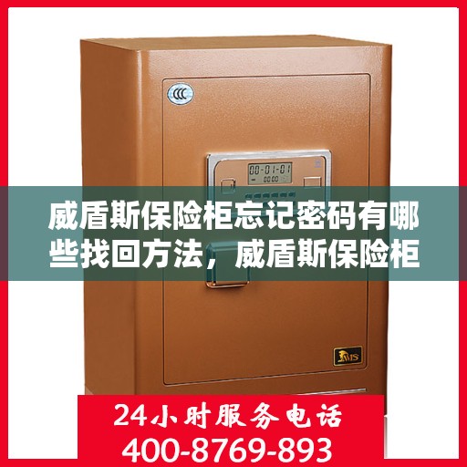 威盾斯保险柜忘记密码有哪些找回方法，威盾斯保险柜密码遗忘后的找回攻略