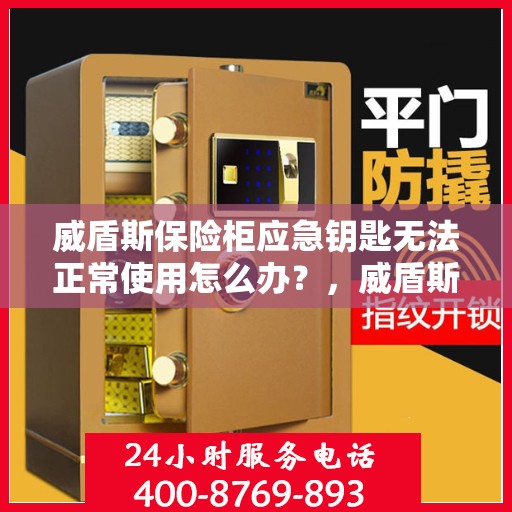 威盾斯保险柜应急钥匙无法正常使用怎么办？，威盾斯保险柜应急钥匙故障处理指南，解决无法正常使用的应急钥匙问题