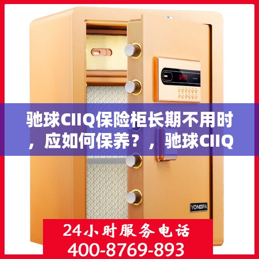 驰球CIIQ保险柜长期不用时，应如何保养？，驰球CIIQ保险柜长期闲置时的保养之道