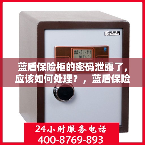 蓝盾保险柜的密码泄露了，应该如何处理？，蓝盾保险柜密码泄露危机，应对与解决之道